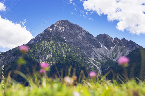 Naklejka alpy krajobraz pejzaż las europa