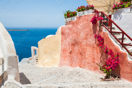 Obraz na płótnie morze wyspa natura kwiat grecki