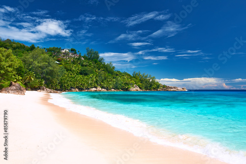 Obraz na płótnie plaża tropikalny woda drzewa