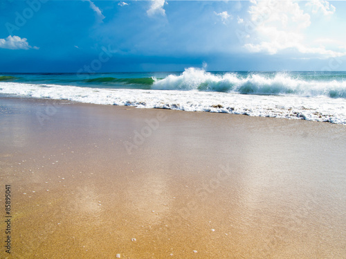 Fotoroleta tropikalny natura plaża