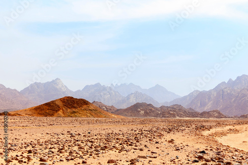 Fototapeta egipt pejzaż pustynia