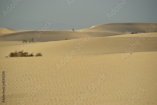 Fotoroleta roślina krajobraz wzgórze ładny pustynia