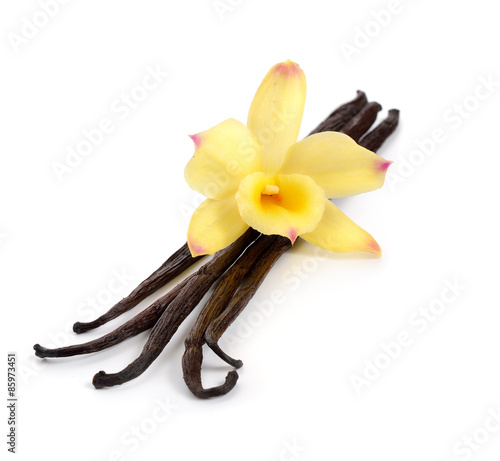 Obraz na płótnie kwiat storczyk wanilia roślina natura