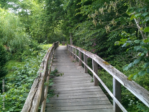 Obraz na płótnie most las drewno