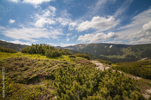 Fototapeta wzgórze pejzaż widok las
