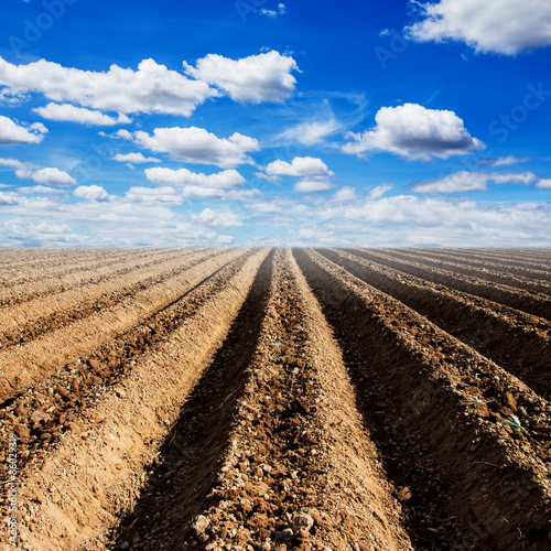 Fotoroleta rolnictwo wieś niebo trawa pejzaż