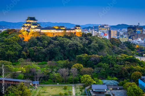 Fototapeta pałac japoński architektura
