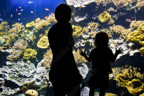 Fotoroleta muzeum ryba ludzie dzieci tourismus