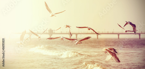 Obraz na płótnie retro plaża lato słońce woda