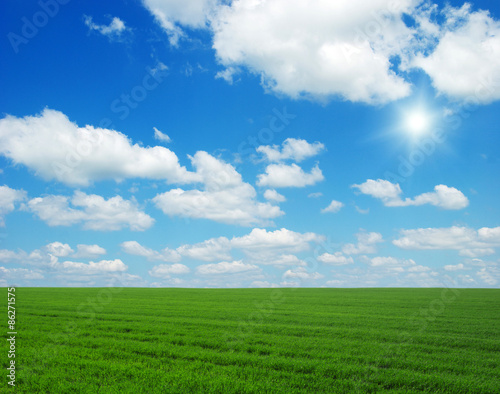 Fototapeta piękny niebo trawa łąka pole