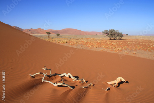 Fototapeta pustynia wydma piasek namibia
