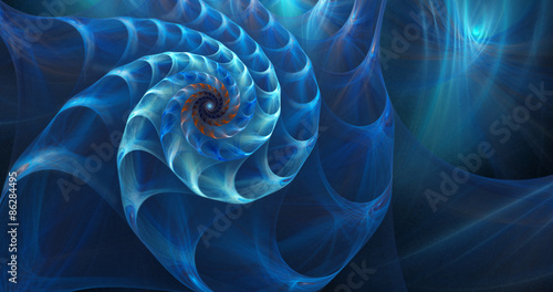 Fototapeta zwierzę kreskówka wzór mięczak spirala