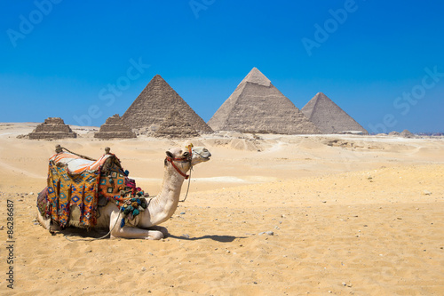 Naklejka piramida piękny antyczny egipt stary