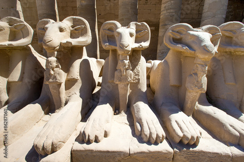 Naklejka egipt świątynia afryka antyczny sztuka