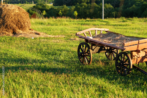 Fotoroleta retro wieś trawa stary pole