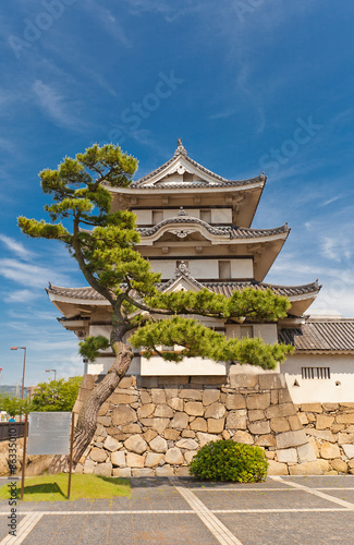 Fotoroleta wojskowy zamek japonia azja