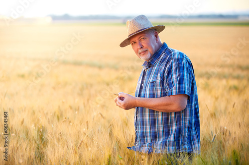 Fotoroleta mężczyzna jęczmień pszenica portret