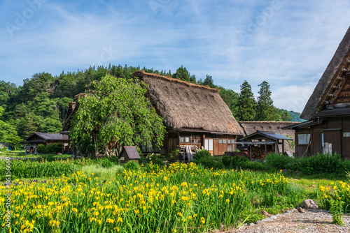 Obraz na płótnie architektura japonia krajobraz wieś światowa spuścizna