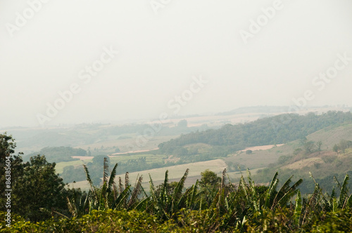 Fotoroleta rolnictwo las wzgórze widok