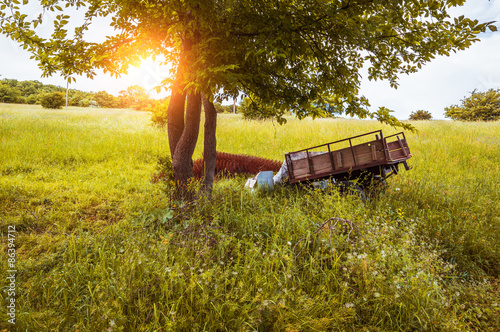 Fotoroleta traktor lato pejzaż transport jesień