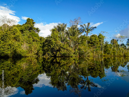 Naklejka woda las brazylia