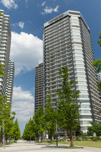 Fotoroleta japonia błękitne niebo park architektura krajobraz