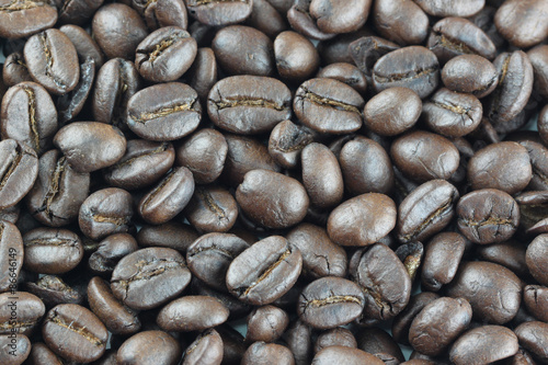 Fototapeta jedzenie rolnictwo kawa