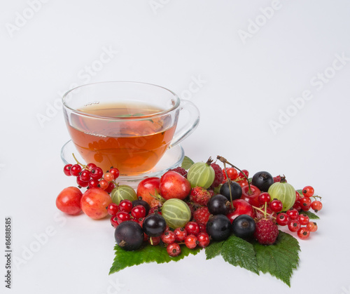 Obraz na płótnie gałązka owoc wiśnia świeży zbiory