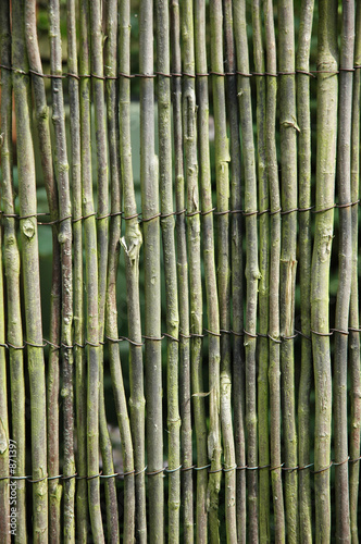 Naklejka bambus natura ogród trzciny drewno