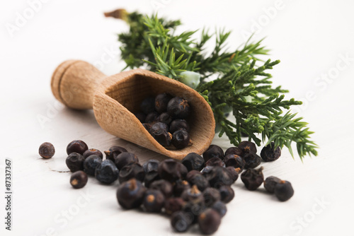 Plakat aromaterapia owoc krzew natura