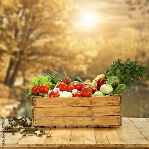 Naklejka natura żniwa jesień warzywo