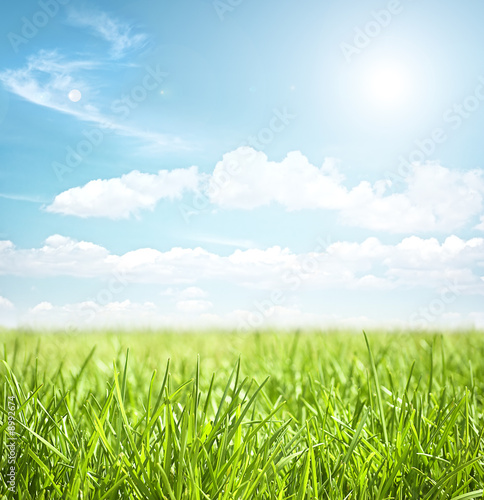 Naklejka świeży rolnictwo witalność słońce łąka