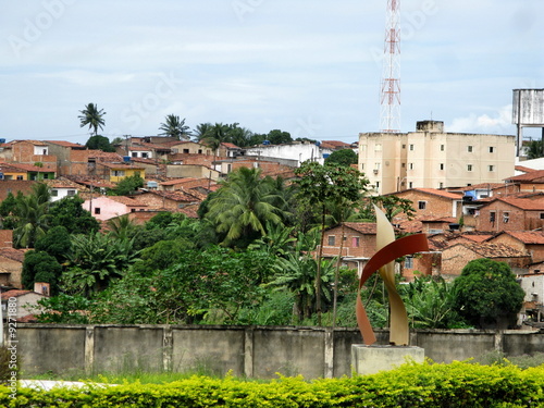 Naklejka palma krajobraz brazylia widok miejski