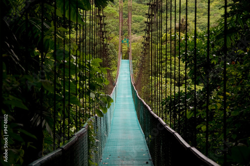 Naklejka Wiszący most w dżungli