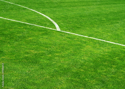 Fotoroleta trawa boisko pole piłka nożna zielony