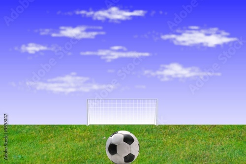 Fototapeta filiżanka piłka nożna sport piłka trawa