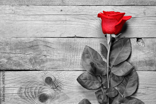 Fotoroleta kwiat stary czerwony