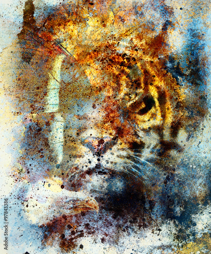 Plakat ssak safari piękny kot