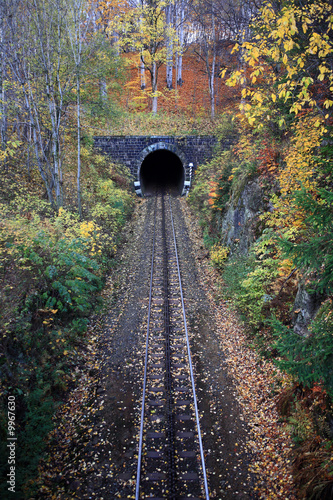 Fotoroleta park transport tunel
