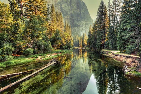 Naklejka Rzeka w dolinie Yosemite