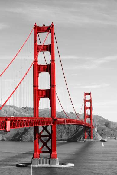 Fotoroleta Most Golden Gate w One Color
