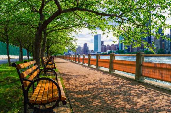 Fototapeta Aleja w parku z widokiem na Manhattan